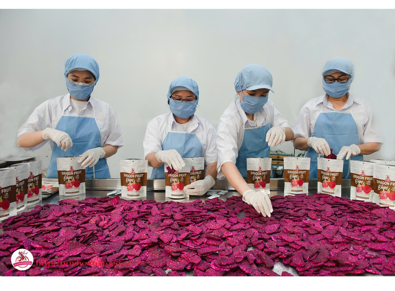 Hình ảnh công ty Thanh Long Bình Thuận